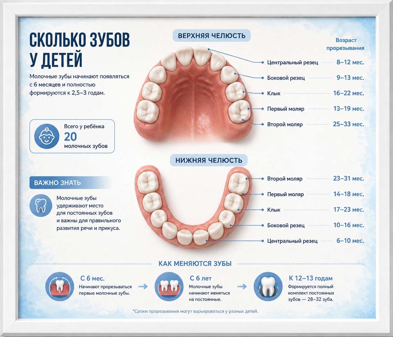 Схема зубного ряда ребенка, молочные зубы